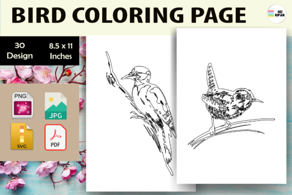 Bird Coloring Page for Kids 2 - KDP