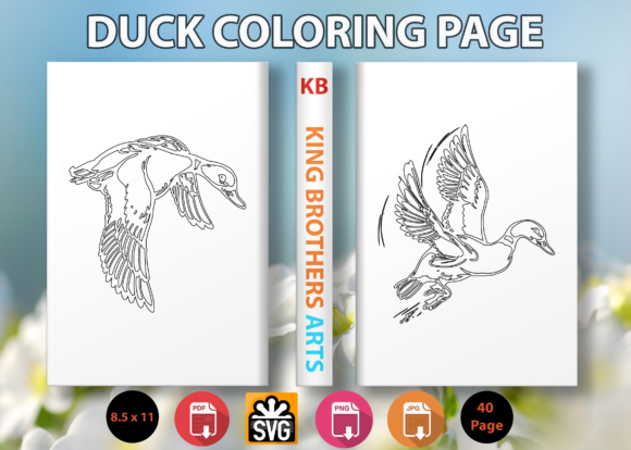 Duck Coloring Page Graphics