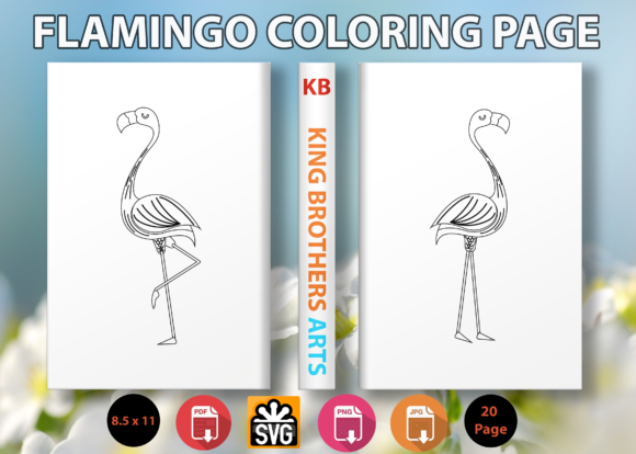 Flamingo Coloring Page Graphics