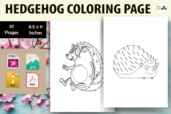 Hedgehog Coloring Pages Graphics