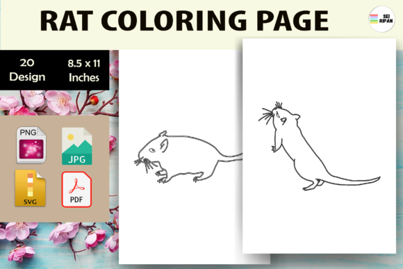 Rat Coloring Pages Graphics for Kids
