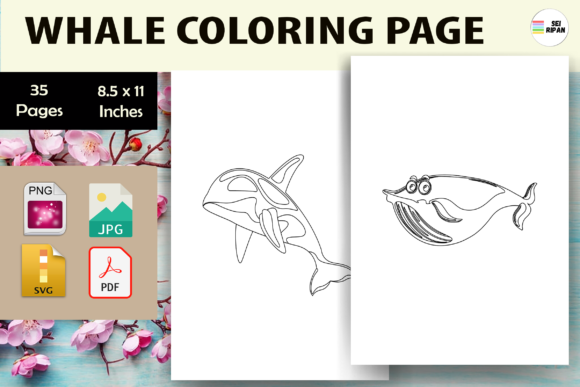 Whale Coloring Pages: Graphics for Editorial & Coloring Pages